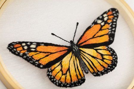 Набор для вышивания PANNA Живая картина. Бабочка. Монарх" 13 х 13 см JK-2234