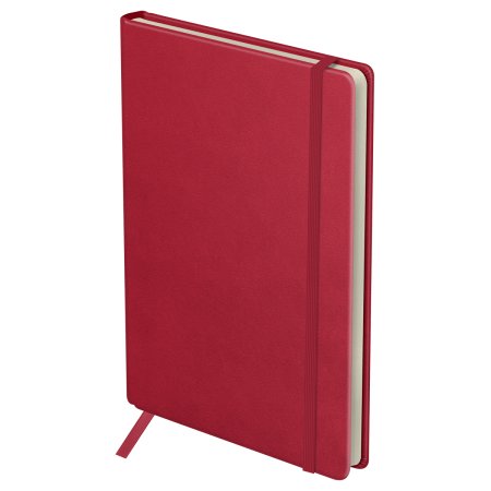Ежедневник недатированный B5 136л. BG "Bright. Berry" кожзам, твердый переплет, карман, красный RE-DuB5_20232