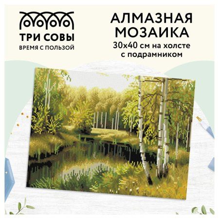 Алмазная мозаика ТРИ СОВЫ "Летний пейзаж" 30 x 40 см, холст на подрамнике RE-АМП3040_47592