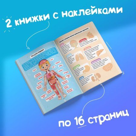 Наклейки набор "Тело человека" 2 шт по 16 стр. SIM-4859821