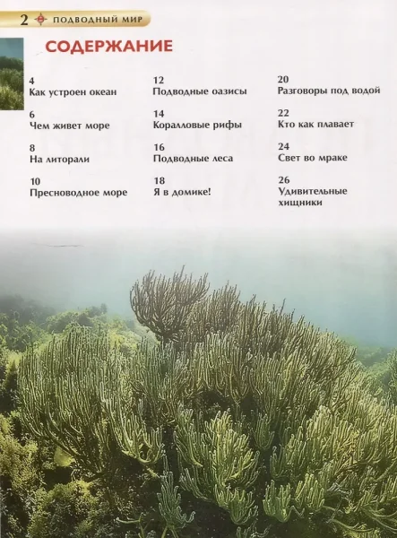 Книга: Подводный мир. Детская энциклопедия ROS-62597