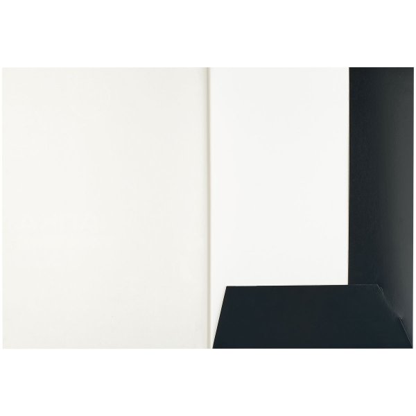 Папка для черчения BG (бумага Гознак) 200 г/м2 A4 20л. без рамки RE-Пч20А4_58485