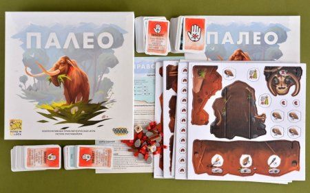 Настольная игра: Палео MAG915313