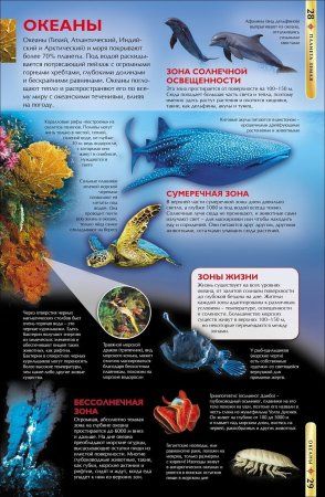 Книга: Планета Земля. Детская энциклопедия ROS-17356