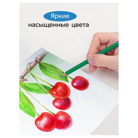 Карандаши цветные ГАММА "Классические" 36 цв заточенные, карт. упаковка, европодвес RE-050918_05_05