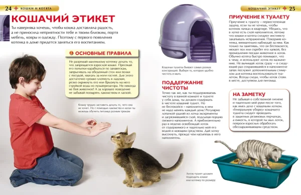 Книга: Кошки и котята. Детская энциклопедия ROS-22214