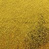 Бумага фольгированная 50 х 70 см, цвет золотой SIM-128418 Бумага фольгированная 50 х 70 см, цвет золотой SIM-128418