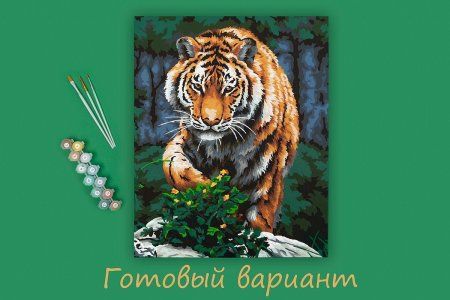 Набор для раскрашивания по номерам (холст на подрамнике) ФРЕЯ 50 х 40 см "Крадущийся тигр" PNB/PL-162