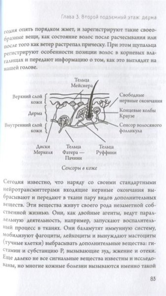 Книга: Что скрывает кожа. 2 квадратных метра, которые диктуют, как нам жить EKS-934492