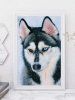 Картина по номерам: Удивительный хаски 30 x 40 см CV-PE0006