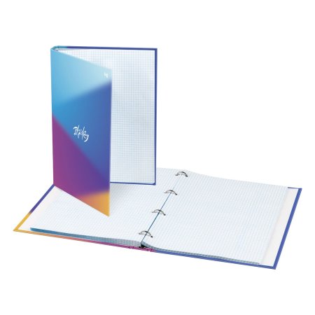 Тетрадь на кольцах 100л. A4 BG "It's okay" матовая ламинация RE-ТТ4к100_лм_62754