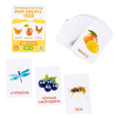 Обучающие карточки "Мир вокруг" 128 картинок KOR-05980