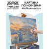 Картина по номерам на холсте ТРИ СОВЫ "Сочи" 40 x 50 см, краски, кисть RE-КХ_44160