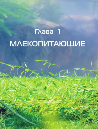 Книга: Животные. Большая детская энциклопедия EKS-713713