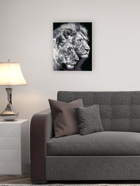 Набор для раскрашивания по номерам (холст на подрамнике) ФРЕЯ 50 х 40 см "Черно-белые львы" PNB/PL-367