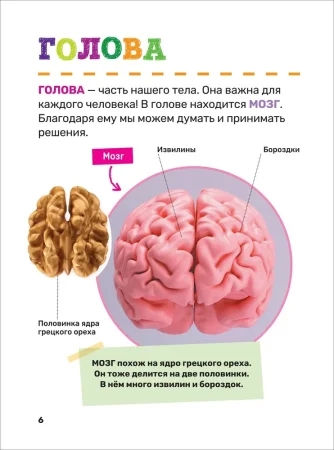 Книга: Тело человека. Первая энциклопедия малыша ROS-40707 Книга: Тело человека. Первая энциклопедия малыша ROS-40707