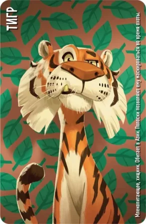 Настольная игра: Similo: Зоопарк MAG915593