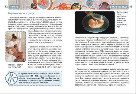 Книга: Человек (ДЭР) ROS-9433