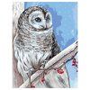 Картина по номерам на холсте ТРИ СОВЫ "Белая сова" 30 x 40 см, краски, кисть RE-КХ3040_53849