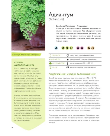 Книга: Зеленый оазис. Комнатные растения от А до Я EKS-987863