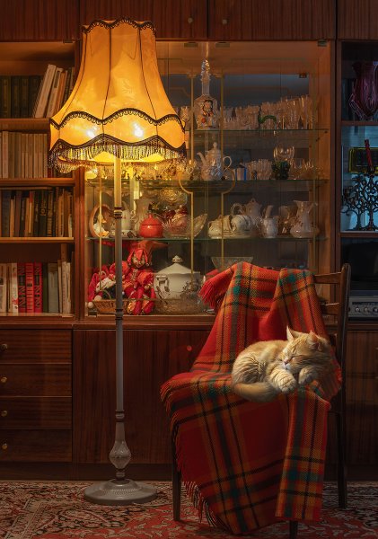 Пазл 1000 элементов ФРЕЯ "Вечерний уют" PZL-1000/46