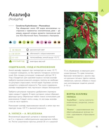 Книга: Зеленый оазис. Комнатные растения от А до Я EKS-987863