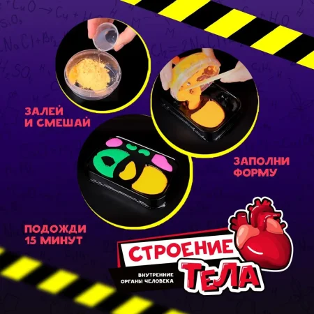 Научно-познавательный набор Re-Агенты "Строение тела" AS-EX101Т