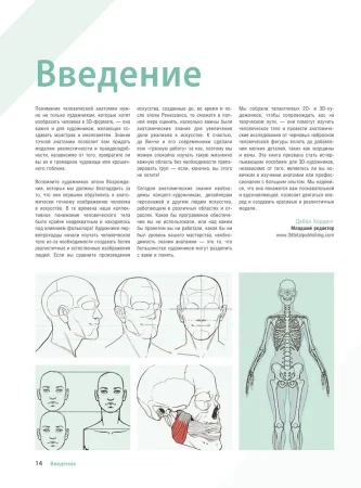 Книга: Анатомия для 3D-художников. Курс для разработчиков персонажей компьютерной графики EKS-590567