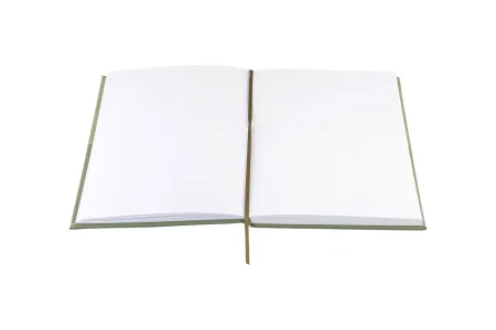 Блокнот для записей Стихия Bullet Journal 100 г/м2, 14 x 20 см, 80 л, жесткая обложка, оливковый MPST04045