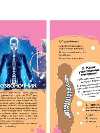 Викторина на карточках: Тело человека. Суперквиз! ROS-37472