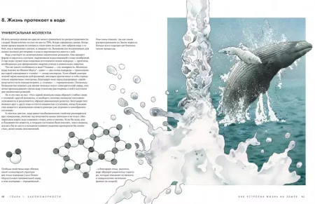 Книга: Как устроена жизнь на Земле MIF-469377