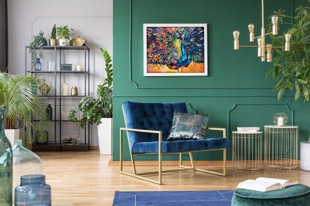 Набор для раскрашивания по номерам (цветной холст) ФРЕЯ 50 х 40 см "Разноцветный павлин" PNB/PLC-231