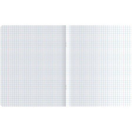 Тетрадь 48л. A5 клетка MESHU "Cute friends" ТВИН-лак RE-MS_31312