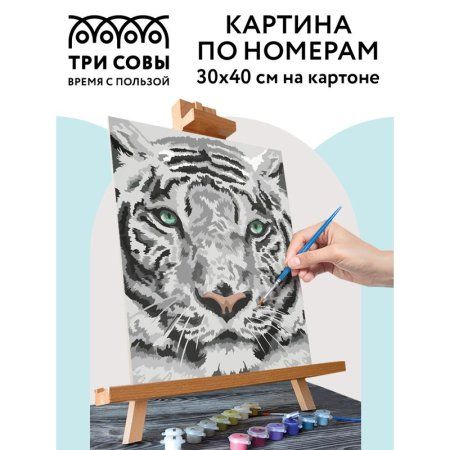 Картина по номерам на картоне ТРИ СОВЫ "Бенгальский тигр" 30 x 40 см, краски, кисть RE-КК_44025