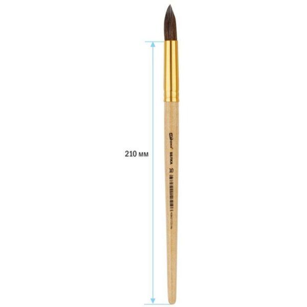 Кисть белка ArtSpace круглая №10 RE-SH10_14519