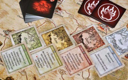 Настольная игра: Братство волка MAG119946