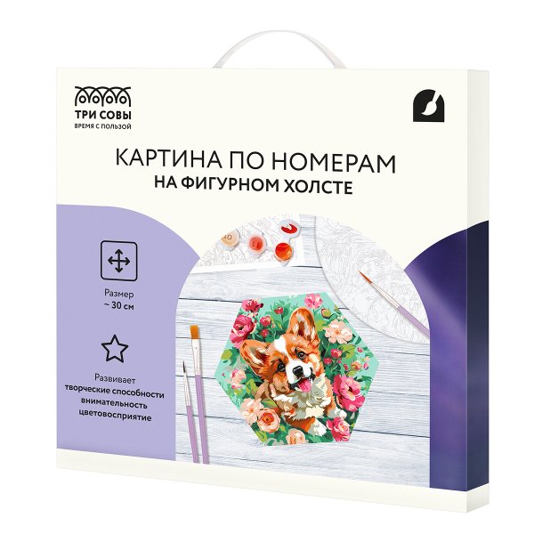 Картина по номерам на фигурном холсте ТРИ СОВЫ "Корги в цветах" форма многоугольник, с акриловыми красками и кистями RE-FCF30_00010