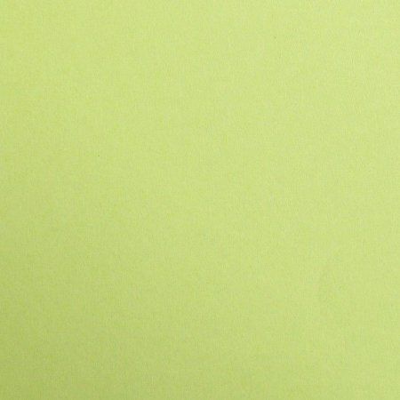 Бумага цветная CLAIREFONTAINE Maya 120 г/м2 A4 1 л, зеленый мох (moss green) RH-97352C