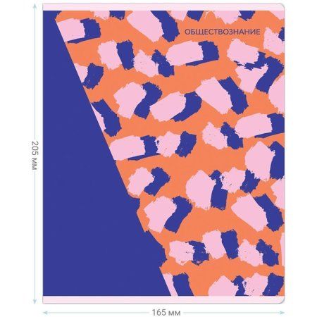 Тетрадь предметная 48л. MESHU "Bright splash" - Обществознание, матовая ламинация, выборочный УФ-лак RE-MS_42559