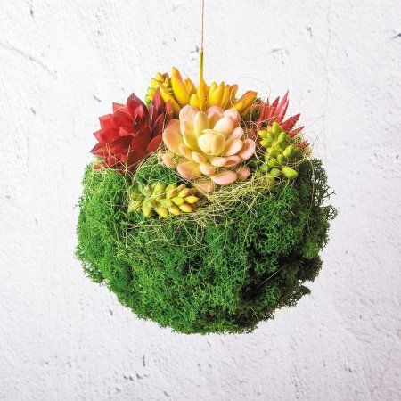 Декоративный элемент "суккулент" Blumentag 1 шт 5 x 9 см ASU-18-01