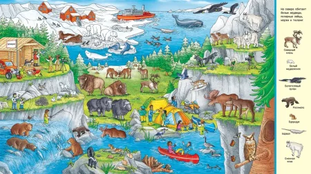 Книга: Животные. Виммельбух «Найди и покажи» ROS-39023