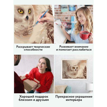Картина по номерам на холсте ТРИ СОВЫ "Полярная сова" 40 x 50 см, краски, кисть RE-КХ_44165