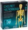Набор для опытов ЭВРИКИ "Скелет человека" SIM-7647805