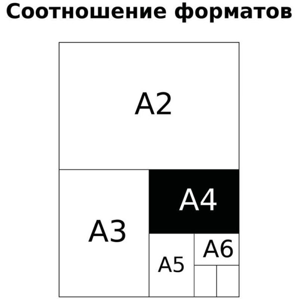 Сменный блок 120л. A4 BG, белый, пленка т/у, с вкладышем RE-СБ4ту120_7200