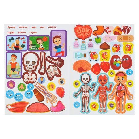 Наклейки набор "Тело человека" 2 шт по 16 стр. SIM-4859821
