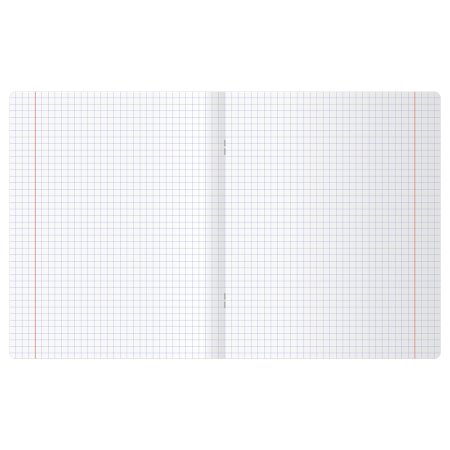 Тетрадь 48л. A5 клетка BG "Флорариум" блестки RE-Т5ск48_бл_08520 Тетрадь 48л. A5 клетка BG "Флорариум" блестки RE-Т5ск48_бл_08520