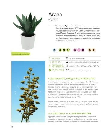 Книга: Зеленый оазис. Комнатные растения от А до Я EKS-987863