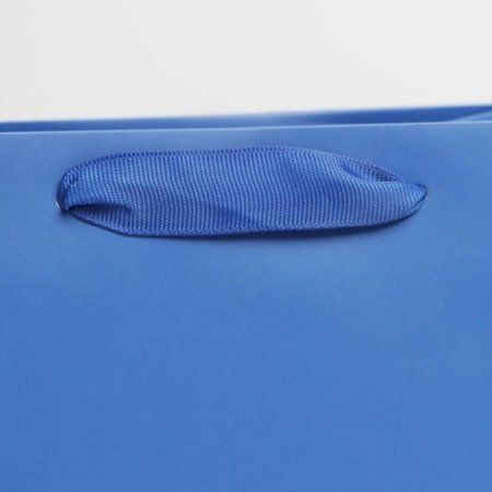 Пакет ламинированный "Синий" MS 18 x 23 x 10 см SIM-7304169