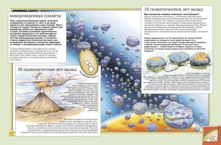 Книга: Животные. Полная энциклопедия ROS-30736