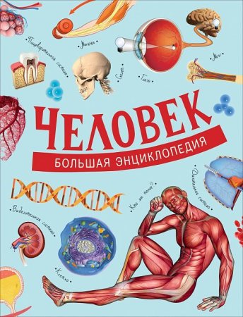 Книга: Человек. Большая энциклопедия ROS-30622